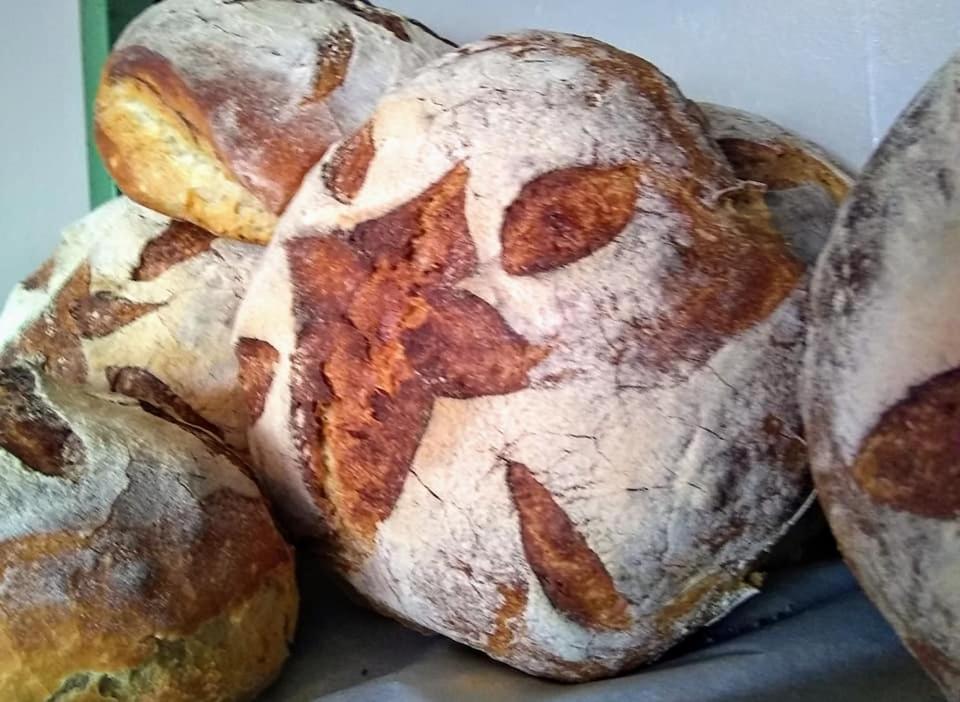 The Bear Bread Bakery: Boutique En-Suite with Bakery Breakfast in Colyton Exterior photo