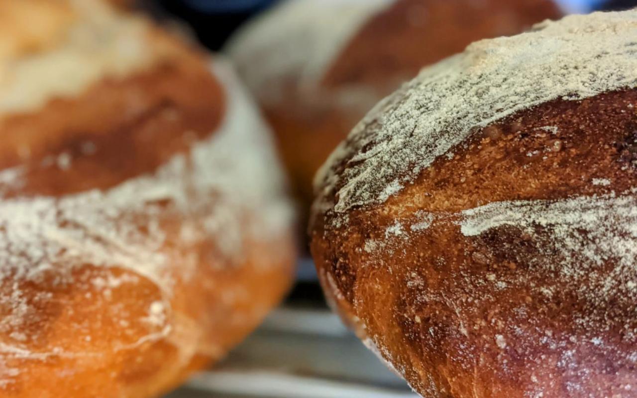 The Bear Bread Bakery: Boutique En-Suite with Bakery Breakfast in Colyton Exterior photo