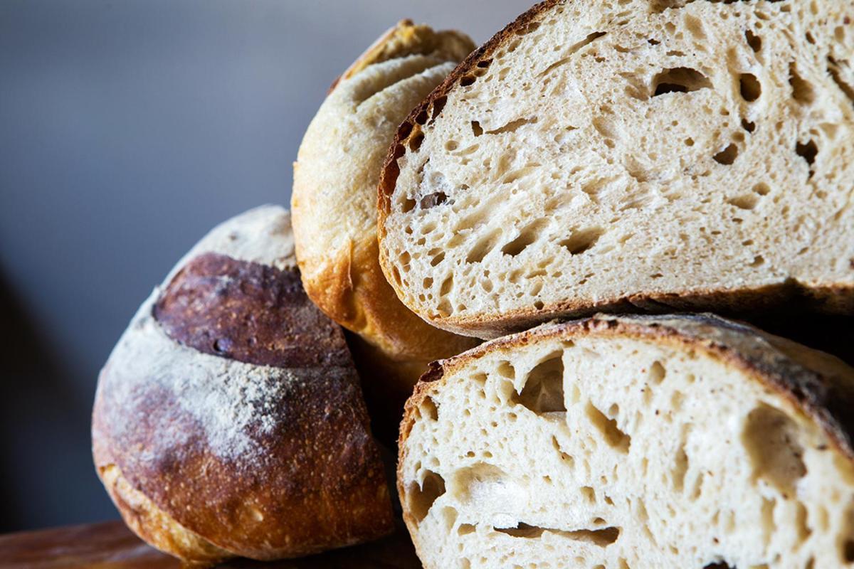 The Bear Bread Bakery: Boutique En-Suite with Bakery Breakfast in Colyton Exterior photo